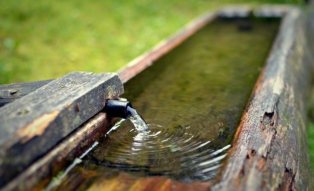 changement d'eau